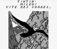 une photo d'Ã©cran de Tintin - Le Temple du Soleil sur Nintendo Game Boy